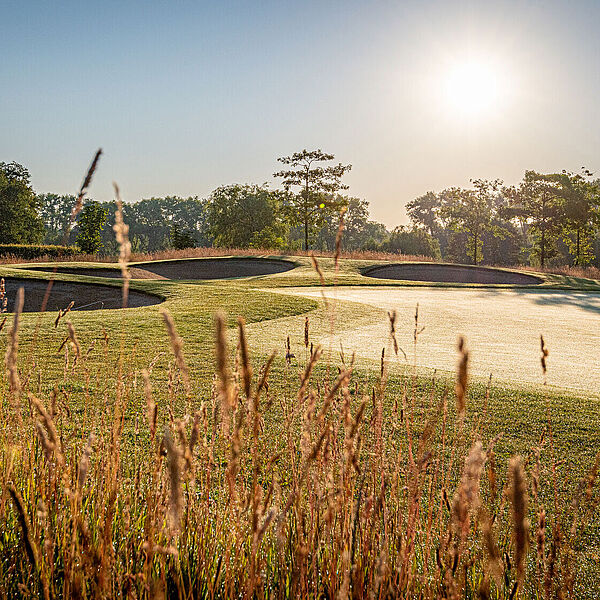 Golfgrün der Golfanlage Golf Gut Glinde mit hohem Hard Rough im Vordergrund und Bunkern am Grün im Morgenlicht