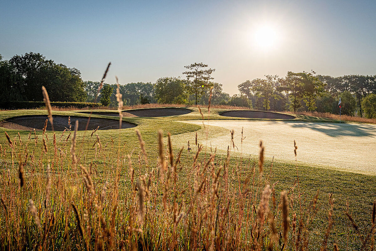 Golfgrün der Golfanlage Golf Gut Glinde mit hohem Hard Rough im Vordergrund und Bunkern am Grün im Morgenlicht