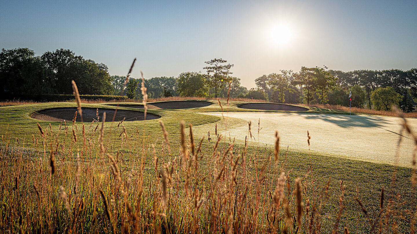 Golf Gut Glinde bei Hamburg mit hohem Hard Rough und gepflegtem Grün im Hintergrund